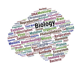Biology Word Cloud. Fundamental Terms In Cell Science, Genetics, Evolution And Ecology