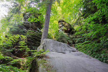 Rocky hiking trail with stone stairs winding through sandstone formations in Saxon Switzerland National Park near Rathen, Germany – a scenic route for outdoor enthusiasts.