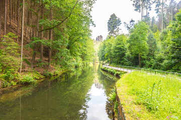 Scenic forest trail leading to the famous Bastei Bridge in Saxon Switzerland, Germany. Surrounded by lush greenery, sandstone cliffs and a small dam, this popular route offers pure hiking charm