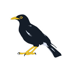 Bully bird illustration vector based on white background vol 07
