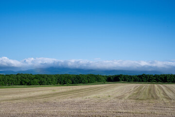 Obraz premium 日本の北海道の道東の美しい風景