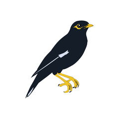 Bully bird illustration vector based on white background vol 02