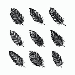 A premium set of 9 detailed black feather vector illustrations in vintage ink style. Perfect for tattoos, boho designs, nature projects, and branding elements. Fully scalable and editable.

