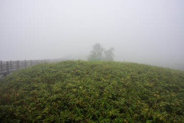日本の北海道の道東の美しい風景