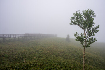 日本の北海道の道東の美しい風景