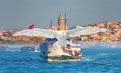 Sea voyage with old ferry (steamboat) in the Bosporus - Dolmabahce Palace  seen from the Bosphorus ...