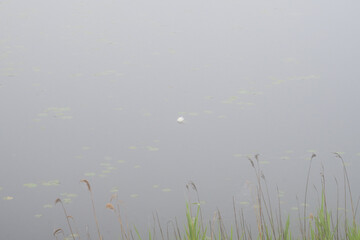 日本の北海道の道東の美しい風景