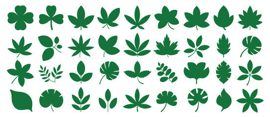 Green leaf silhouettes vector set, plant nature foliage, botanical isolated elements