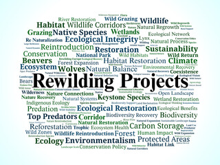 Rewilding Projects Word Cloud. Ecological Terms for Nature Recovery and Restoration