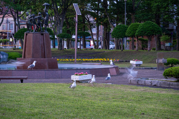 北海道釧路市の夏の夜の美しい風景