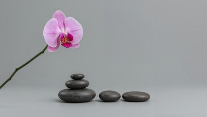 zen stones with orchid