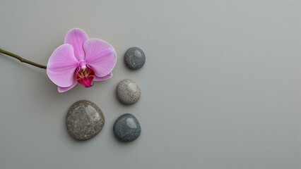 orchid and zen stones