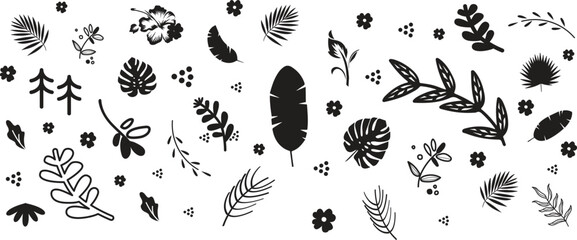 Naklejka premium Leaf silhouettes, vector collection, diverse leaves shapes, nature elements. Ideal for eco friendly brand aesthetics, botanical illustrations, educational materials, artistic designs, decorations.