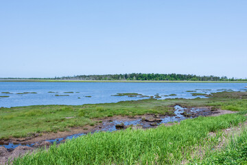 日本の北海道の道東のとても美しい風景