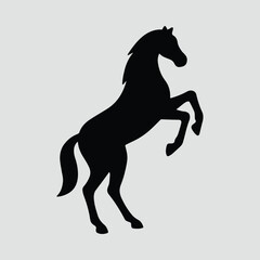 Silhouette rearing horse elegant equine mammal silhouette vector illustration