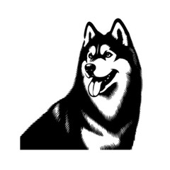 Dynamic Husky Dog Vector Artwork – Husky Dog 32