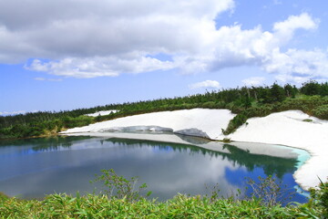 八幡平（ガマ沼）