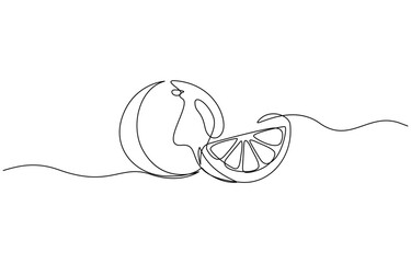 Orange Slices A Single Line Drawing of Citrus Fruit, Minimalist Line Art Illustration of a Lemon Slice, Continuous single line drawing sliced healthy organic lemon for orchard logo identity.