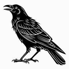 Obraz premium Black Crow Silhouette Vector Illustration Isolated White Background