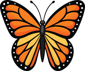 Monarch Butterfly Vecor Illustration On White Background