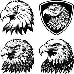 eagle head vector illustration