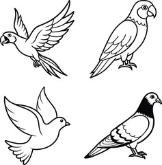 collection of birds