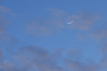 half moon floating on blue sky in twilight background 