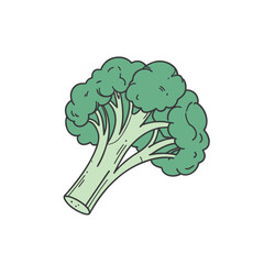 Realistic illustration of a fresh green broccoli floret. Detailed and vibrant vegetable drawing, ideal for healthy food packaging, recipe books, or educational materials.