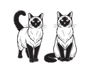 Vector illustration of two Balinese cats, showcasing their Siamese-like features and long tails. Pet.