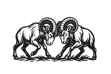 Vector illustration of two mountain goats fighting, symbolizing strength and challenge. Wildlife Animals.
