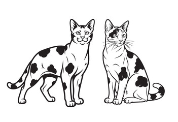 Vector illustration of two Ocicat cats, showcasing their distinctive spotted coats. Pet.
