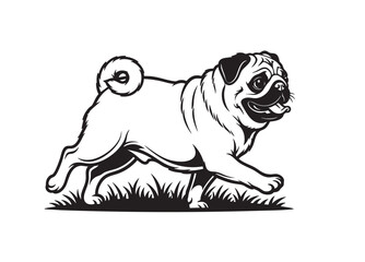 Vector illustration of a Pug dog in a full body profile, walking. Pet.