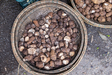 Fresh Taro Roots in Bamboo Basket at Local Southeast Asian Market
