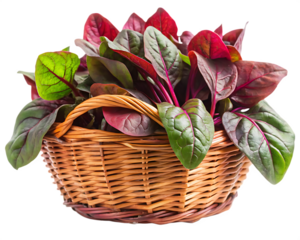  red spinach in the basket on isolated on white background png , AI GENERATED