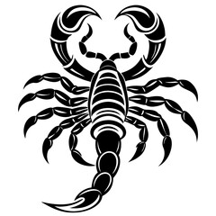 scorpion tattoo vector