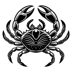 black and white fish