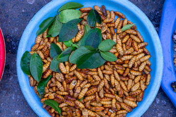 Edible Silkworm Larvae for Sale in Southeast Asian Street Market