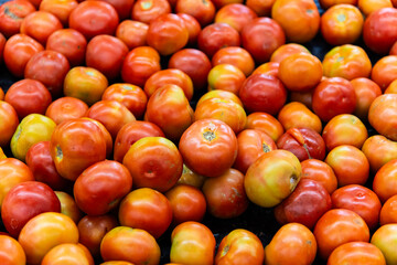 tomato on sale at the supermarket