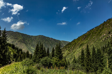 mountain landscape in the summer