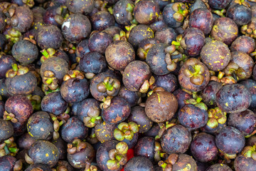 Fresh Mangosteens at Southeast Asian Market