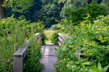 Wooden bridge crossing small river in Valkenburg aan de Geul, The Geul is a river in Belgium and in the Netherlands, A right-bank tributary to the river Meuse, The southeastern Dutch province, Limburg
