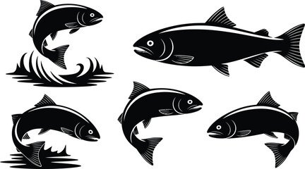 Fototapeta premium A collection of black and white salmon fish silhouette vector illustrations, with jumping and swimming poses for a fishing logo.