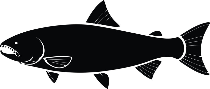 A single payara or vampire tetra fish silhouette vector illustration, showing the predatory animal with sharp teeth on white.