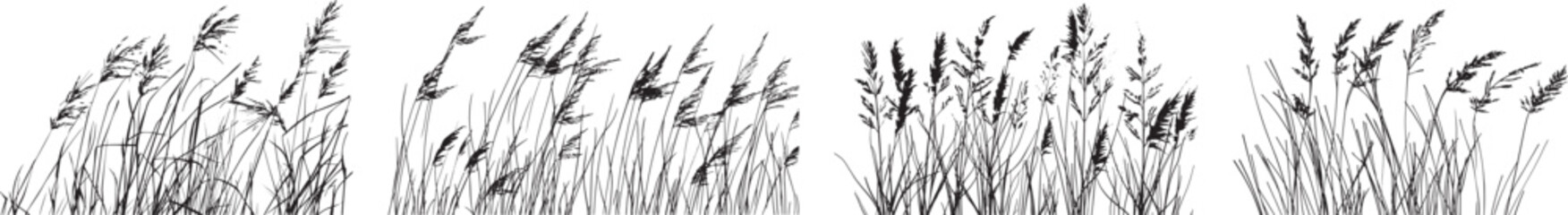 Grass Silhouette Vector Illustration on White Background