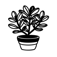 Obraz premium plant in pot