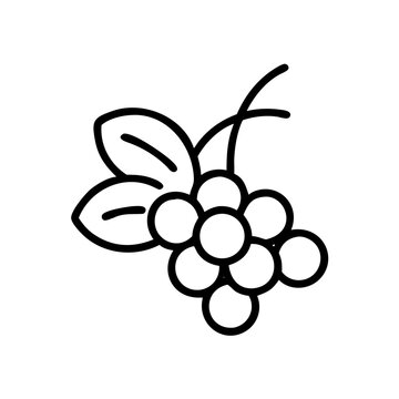 vector illustration of a graps