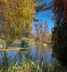 Fototapeta premium Autumn trees reflected in water