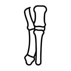 3d rendered illustration of a human spine