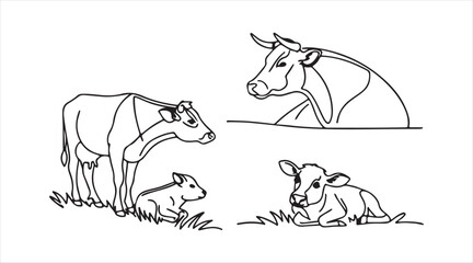 Fototapeta premium Line illustrations of cows and calves, isolated on white, suitable for agriculture and food industry use.
