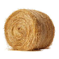 A large round bale of golden hay isolated on transparent background